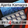 Ajanta Kamagra 34